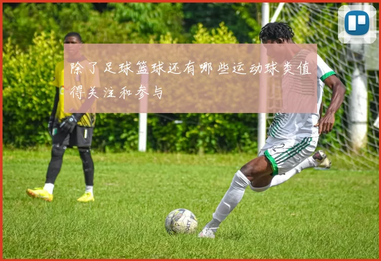 除了足球篮球还有哪些运动球类值得关注和参与