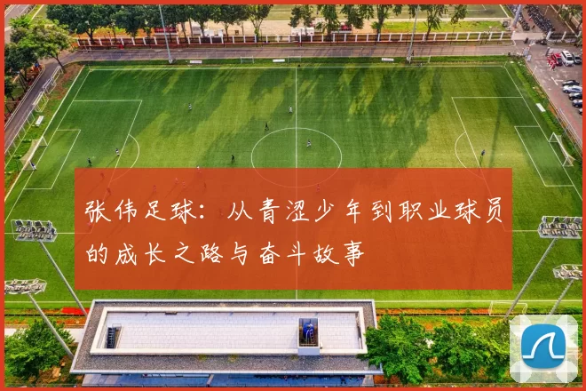 张伟足球：从青涩少年到职业球员的成长之路与奋斗故事